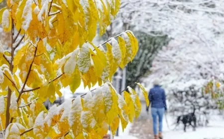 Snow Forecast for Columbus This Week: What to Expect