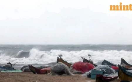 IMD Issues Orange Alert: Cyclone Ditwah Closes Chennai Schools Today