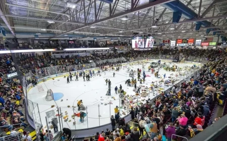 Sarnia Sting Ends Losing Streak with Exciting Teddy Bear Toss Victory