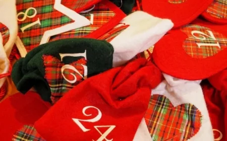 Unique Advent Calendars to Discover This Christmas for Pets Mystery Themes and More