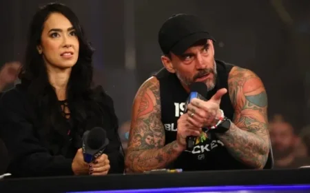 Stop Harassing Wrestlers Physically and Online