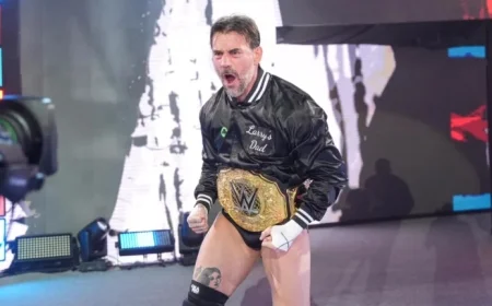 WWE’s Mystery Attacker: Rumors Swirl Around CM Punk’s Survivor Series Assailant