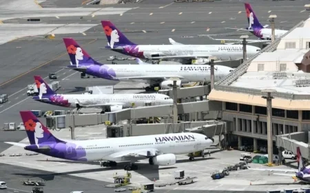 Hawaiian Airlines Launches Black Friday Sale on Japan-Hawaii Flights