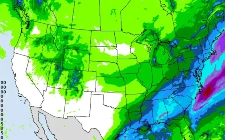Post-Thanksgiving Travel Disrupted by Snowstorms: Check the Forecast