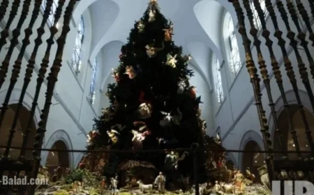 Met Fifth Avenue Shines with Christmas Tree and Neapolitan Baroque Crèche