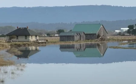King Tides Bring Humboldt’s Highest Waves; Contribute to Science with Photos