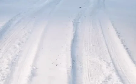 Winter Weather Alerts Issued for 15 Michigan Counties, Expect 3-12 Inches of Snow