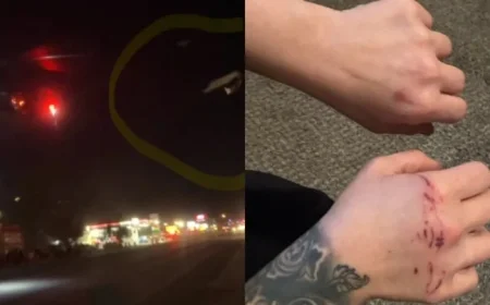 Expert Analysis: Cedar City Helicopter Incident Leaves One Injured