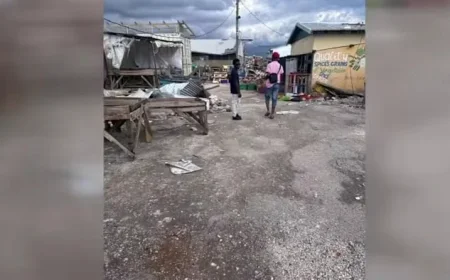 Jamaican Woman Appeals for Support Amid Ongoing Recovery Efforts