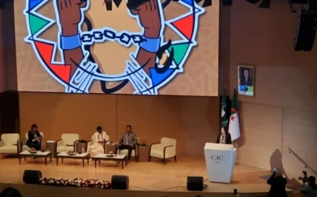 Algiers Declaration Names November 30th Africa’s Day for Colonization Remembrance