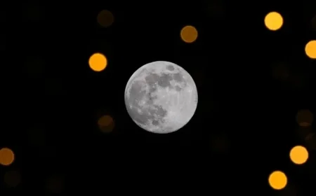 Discover the 2025 Cold Supermoon The Year’s Final and Highest Full Moon Phenomenon