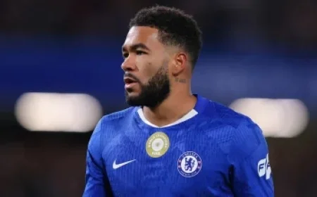 Engaging Campaigns Round-Up Part Two: Santander Trickery Celebrations Song Warburtons for Pets