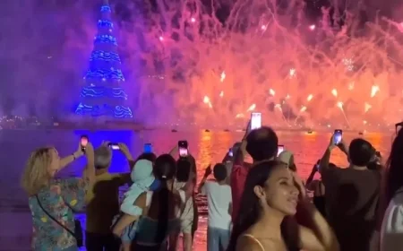 Brazil Still Holds Record: World’s Largest Christmas Tree Stands Here