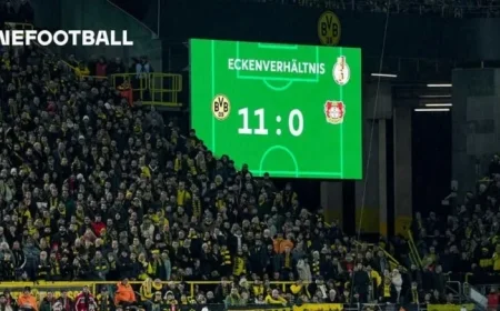 Discover the Power of Efficiency Wins Facts Unveiled