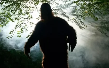 Bigfoot Hunters Assert Mythical Creature’s Existence, Close to Solving Mystery