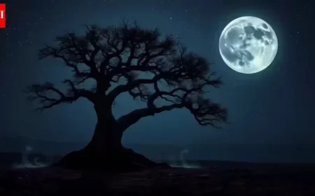 Daily Affirmations and Manifestation Guide for December 3, 2025 Moon Phase