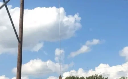 FirstEnergy Profits from Tree Trimming Amid Northeast Ohio Rate Hikes