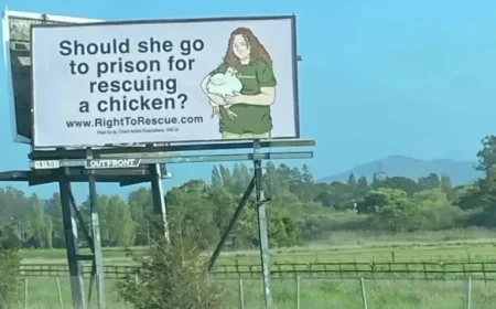 Prosecutors Demand 180-Day Sentence for Activist Zoe Rosenberg in Poultry Case