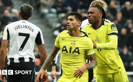 Premier League Live Updates: Bournemouth vs Everton, Fulham vs Man City, and Newcastle vs Tottenham Matches