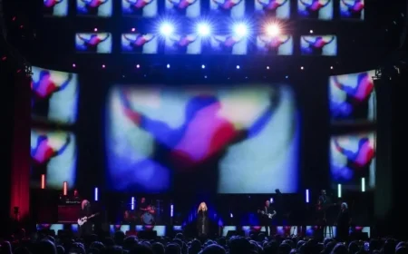 Stevie Nicks Concert: Timeless Classics Captivate Audience