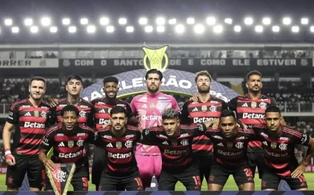 Download the Flamengo 2025 Brazilian Champion Poster Now