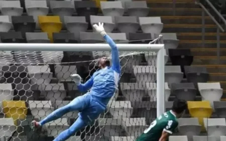 Carlos Miguel Reflects on Palmeiras’ Performance in the Brasileiro Admitting Mistakes