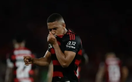 Discover the Updated Ranking of Brazilian Champions as Flamengo Secures the 2025 Title