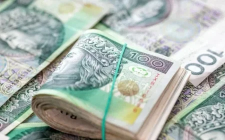 Record Savings for Poles in Employee Capital Plans with Many Accumulating Several Thousand Net