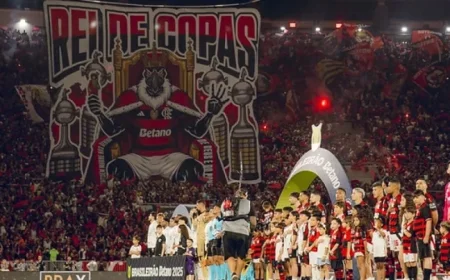 Flamengo Matches 2019 Feat by Securing Both Brasileirão and Libertadores Titles Like Santos