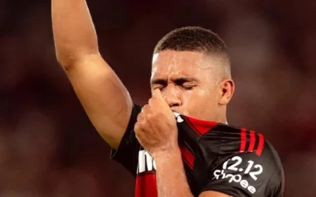 Flamengo Secures Championship Title Adding Brasileirão to Libertadores Triumph