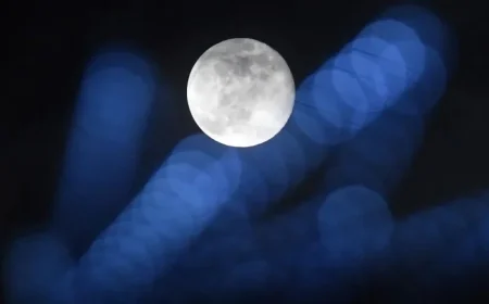 Discover the Last Supermoon of 2025: Essential Facts About December’s Cold Moon