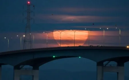 Capture the last full moon of 2025 as the Cold Supermoon illuminates the autumn sky on December 4