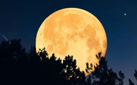 Discover What the December Supermoon Means for Your Star Sign