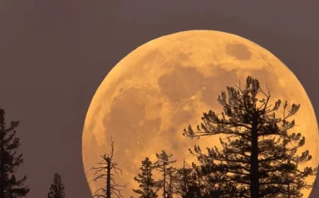 Witness the Last Supermoon of the Year: How to See the Cold Moon on Thursday