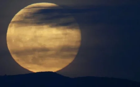 Don’t Miss Tonight’s Stunning Finale: Witness the Year’s Last Supermoon