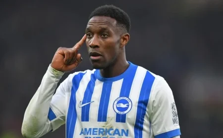 Brighton vs West Ham Live Stream How to Watch TV Channel Prediction and Team News