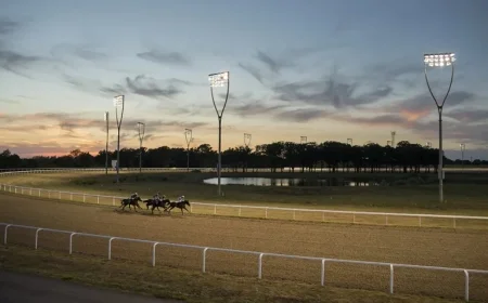 Discover Thursday Chelmsford Horse Racing Tips Featuring a Promising 13/2 Contender