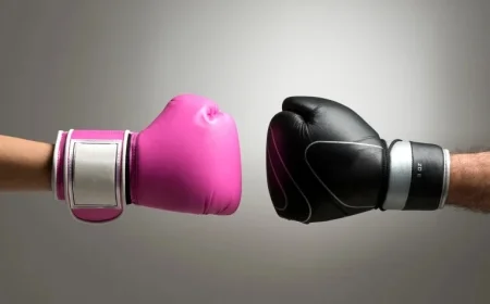 Adobe Versus Canva A Clash of Design Titans Old School Meets Modern Innovation