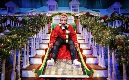 Lorraine Courtney: Why the Late Late Toy Show Captivates Anxious Millennials Over Kids