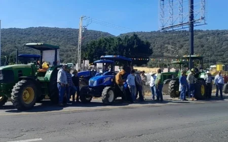 Economic Support for Corn Farmers to Be Distributed by the End of This Month