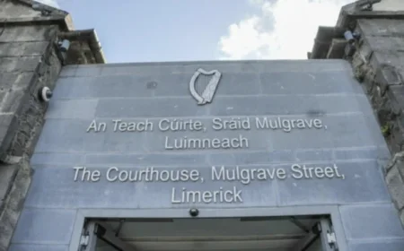 Former GNBCI Chief Denies Attempt to Dismiss Traffic Summons in Trial of Gardaí Charged with Similar Offense