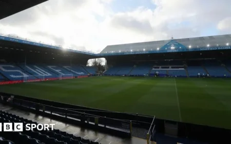 Why It Makes Sense for Potential Bidders to Join Forces at Sheffield Wednesday