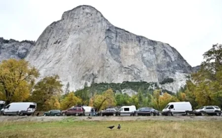 Georgia’s Defense Transforms from Early Season Struggles to Dominant Force