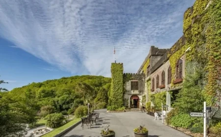 Explore the Luxurious Details of Ryan Tubridy’s Wedding Venue Featuring a Helipad and Four-Poster Beds