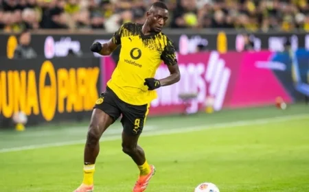 Live Update: Borussia Dortmund Leads TSG 1899 Hoffenheim as Julian Brandt Scores Before Halftime