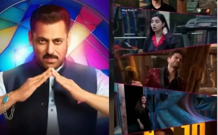 Bigg Boss 19 Finale Star-Studded Guest List: Kartik Aaryan and Sunny Leone Among Celebrities Set for a Grand Entry