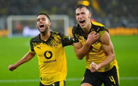 BVB Triumphs at Home Against Hoffenheim With Top Players Scoring High Marks