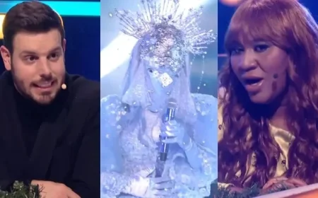 Can You Guess the Celebrity Behind the Mask of the Star Fairy on Chanteurs Masqués