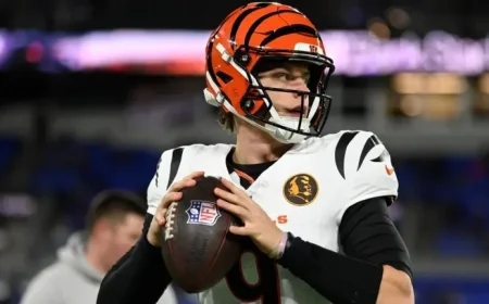 Bengals Playoff Outlook: Odds, Schedule, and Division Standings