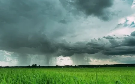 Met Éireann Forecasts Unsettled Weather This Week with Upcoming Status Yellow Warnings